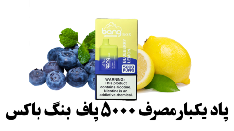 پاد یکبار مصرف ۵۰۰۰ پاف بنگ باکس